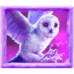 สัญลักษณ์ นกฮูก Jack Frost’s Winter