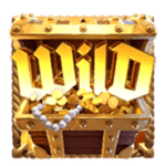 สัญลักษณ์ Wild Queen of Bounty