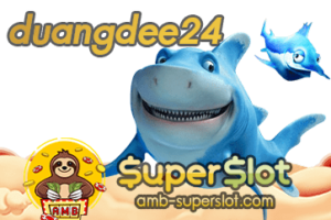 duangdee24 ปกเรื่อง