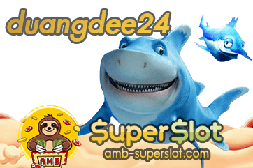 duangdee24 ปกเรื่อง