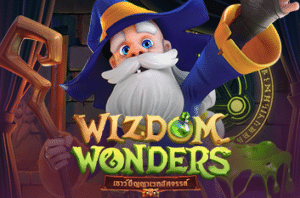 ปก Wizdom Wonders