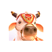 เครื่องหมาย วัว Ganesha Fortune