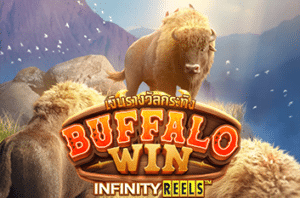 ปก Buffalo Win